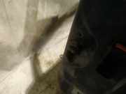 T?rfangband T?rbremse T?rstopper - Vorne Linke Opel Corsa, E 2014.01 - 2019 Gebraucht,