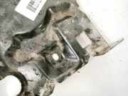 Batterieaufnahme Citroen Berlingo, II 2008.04 - 2018 Gebraucht,