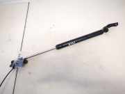 Gasdruckfeder Kofferraum Toyota Avensis Verso, 2001.08 - 2009.11 6895044080,68950-44080