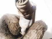 Innenraumleuchte Nissan Almera Tino 2000.08 - 2003.09 18a6216,