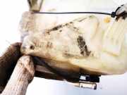 Scheibenwaschbehälter Vorne Wischwasserbehälter Mercedes-Benz W210, 1999.07 - 2002.03 facelift a2108691120,