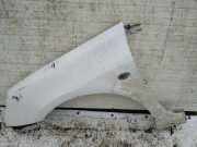 Kotflügel - Vorne Linke Peugeot 307, 2000.08 - 2005.06 baltas,
