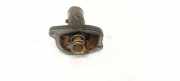 Thermostat Fiat Punto, 1999.09 - 2005.10 A11687, A11687