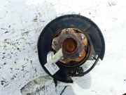 Spritzblech für Bremsscheibe - Hinten Linke Nissan Leaf, I 2010 - 2017.12 Gebraucht,