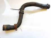 Kühlerschlauch Peugeot 407, 2004.05 - 2010.12 Gebraucht,