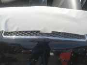 Kühlergrill Frontgrill Kühlergitter Chevrolet Captiva, 2006.01 - 2011.06 Gebraucht,