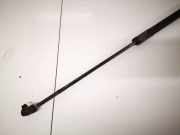 Gasdruckfeder Kofferraum Ford C-MAX, 2011.01 - 2019 am51r406a10ad, am51-r406a10-ad