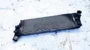 Ladeluftkühler Renault Scenic, II 2003.06 - 2006.06 8200115540C,0005019
