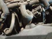 Einspritzdüse Citroen C4, I 2004.11 - 2008.06 Gebraucht,