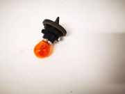 Glühbirnenfassung Blinker Renault Scenic, II 2006.06 - 2009.02 facelift Gebraucht,