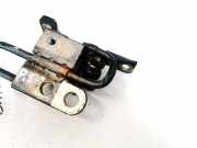 Türscharnier Vorne Volkswagen Phaeton, 2002.04 - 2006 Gebraucht , Ajs