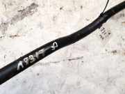 Stabilisator Vorne Citroen Xsara Picasso, I 2004.05 - 2011.12 facelift Gebraucht,