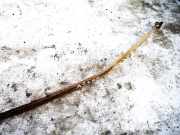 Halteband Kraftstoffbeh?lter Volkswagen Touran, 2003.01 - 2006.10 Gebraucht, bkc