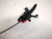 T?rinnengriff - Vorne Linke Ford Galaxy, Mk I 1995.03 - 2000.04 Gebraucht,