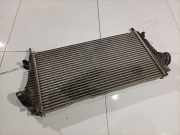 Ladeluftkühler Opel Insignia A, 2008.01 - 2013.01 Gebraucht,