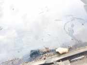 Seitenfenster Seitenscheibe - Hinten Rechts Audi A5, 2007.06 - 2012.06 Gebraucht,