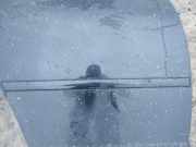 Zierleiste Tür Zier-Schutzleiste - Hinten Rechts Volkswagen Golf, IV 1997.08 - 2003.10 Gebraucht, AKL