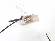 Innenbeleuchtung - Hinten Peugeot 1007, 2005.04 - 2009.12 Gebraucht,