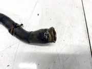 Kühlerschlauch Renault Laguna, II 2001.03 - 2006.05 Gebraucht ,