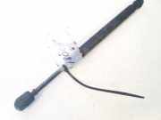 Gasdruckfeder Kofferraum Audi A6, C6 2005.01 - 2008.10 4f582755203,