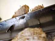 Schutzleiste Tür - Vorne Linke Opel Zafira, B 2005.07 - 2008.01 13121853,