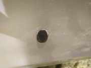 Waschwasserd?se Scheibenreinigung Nissan Almera Tino 2003.09 - 2006.12 facelift Gebraucht,