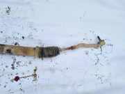 Lenkgetriebe Renault Kangoo, 2008.02 - 2020 LLHD, LLHD