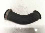 Intercooler Schlauch Chevrolet Captiva, 2006.01 - 2011.06 96628985,