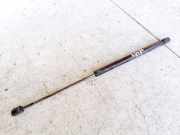Gasdruckfeder Kofferraum Nissan Almera, N16 2003.01 - 2006.12 facelift 1H6827550,