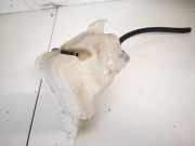 Ausgleichsbehälter Kia Carens, 2006.09 - 2013.03 Gebraucht,