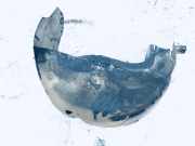 Radhausschale - Hinten Rechts Jaguar X-Type, 2001.06 - 2007.11 1X4354279D22AD,1X43-54279D22-AD