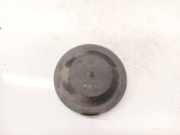Blende Scheinwerfer - Vorne Citroen C5, II 2008.02 - 2011.01 89045709,89045709