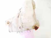 Scheibenwaschbeh?lter Vorne Wischwasserbeh?lter Opel Corsa, D 2006.07 - 2010.06 55702892,461011736