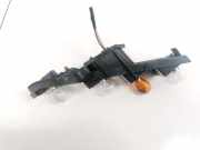 Lampenträger Heckleuchte - Hinten Renault Scenic, II 2003.06 - 2006.06 Gebraucht,