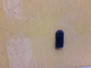 Waschwasserd?se Scheibenreinigung Volkswagen Passat, B4 1993.07 - 1996.08 Gebraucht,