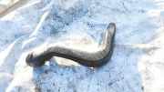 Schlauch für Luftversorgung Honda Insight, II 2009.01 - 2011.12 Gebraucht,