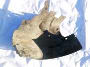 Radhausschale - Vorne Linke Renault Scenic, I 1996.01 - 1999.09 7700838698,