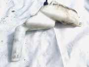 Scheibenwaschbehälter Vorne Wischwasserbehälter Opel Astra, G 1998.09 - 2004.12 Gebraucht,