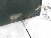 Handschuhfach Rover 600, 1993.08 - 1999.02 Gebraucht ,