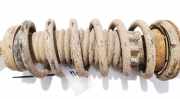 Fahrwerksfeder Hinterachse Citroen C5, II 2008.02 - 2011.01 Gebraucht,