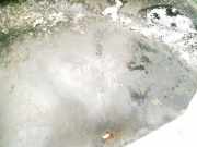 Radhausschale - Hinten Linke Volkswagen Sharan, 7M 1995.09 - 2000.04 7m0810971e, 7m0810971-e