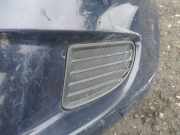 Kühlergrill - Vorne Linke Fiat Punto, 2005.10 - 2012.03 Gebraucht ,