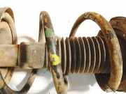 Fahrwerksfeder vorne Subaru Outback, IV 2009.06 - 2014.12 Gebraucht,