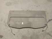 Hutablage Renault Scenic, II 2003.06 - 2006.06 Gebraucht,