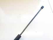 Gasdruckfeder Kofferraum Ford Kuga, I 2008.01 - 2012.06 8V41S406A10AF,8V41-S406A10-AF 8V41S406A10AF