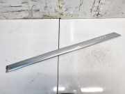 Zierleiste T?r Zier-Schutzleiste - Vorne Rechts Volkswagen Phaeton, 2002.04 - 2006 Gebraucht, BMK