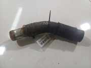 Kühlerschlauch Peugeot 4007 2007 - 2012 Gebraucht,