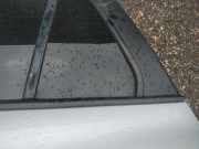 Zierleiste Leiste - Hinten Linke Hyundai Santa Fe, 2006.03 - 2012.09 Gebraucht,