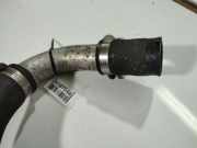 K?hlerschlauch Honda Civic, 2001.01 - 2005.09 17288PLZE001,17288-PLZ-E001