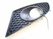 Kühlergrill - Vorne Linke Seat Leon, II 2005.05 - 2012.06 st9900201,5875qa